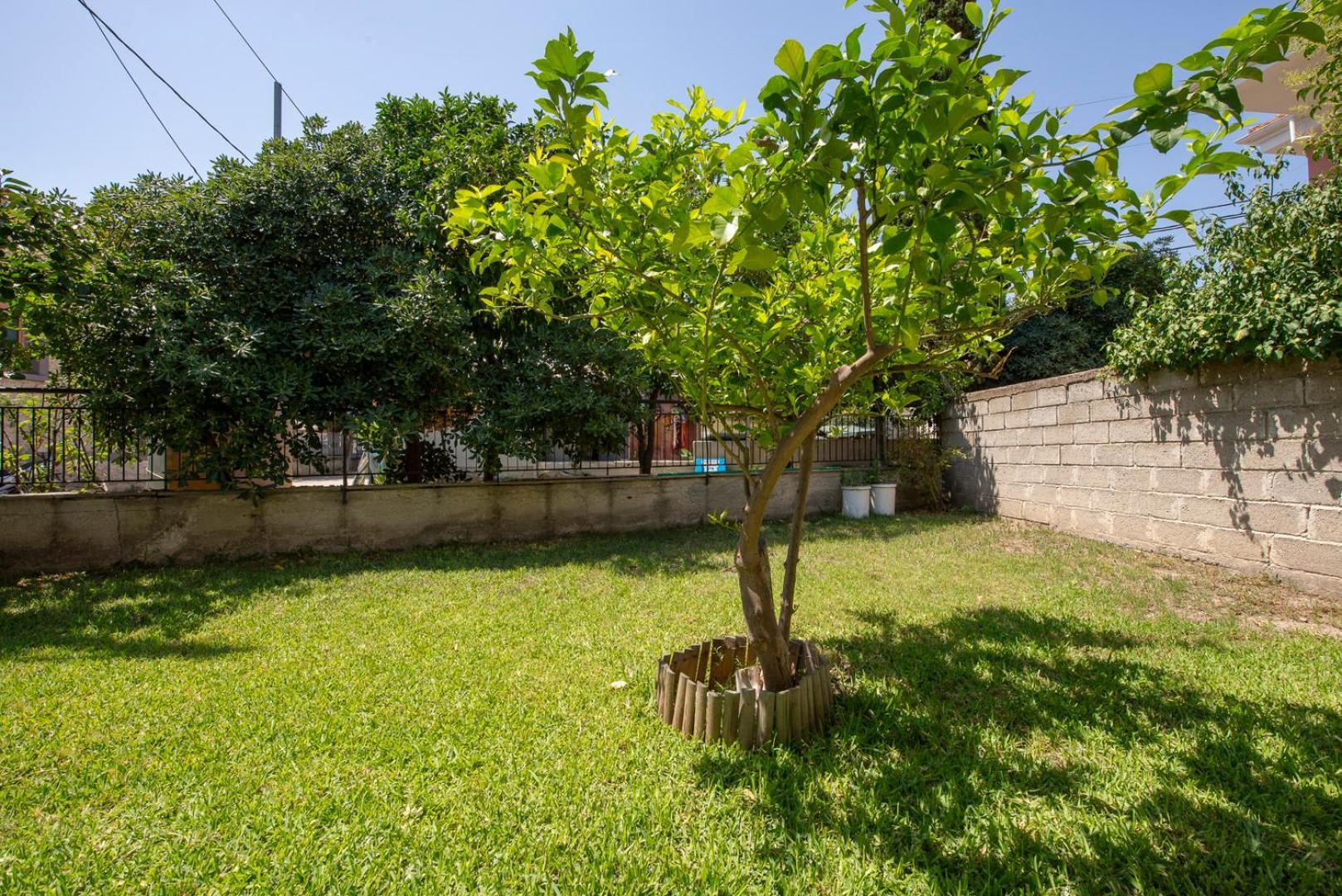 Mala - Μάλα Apartamento Áfitos Exterior foto